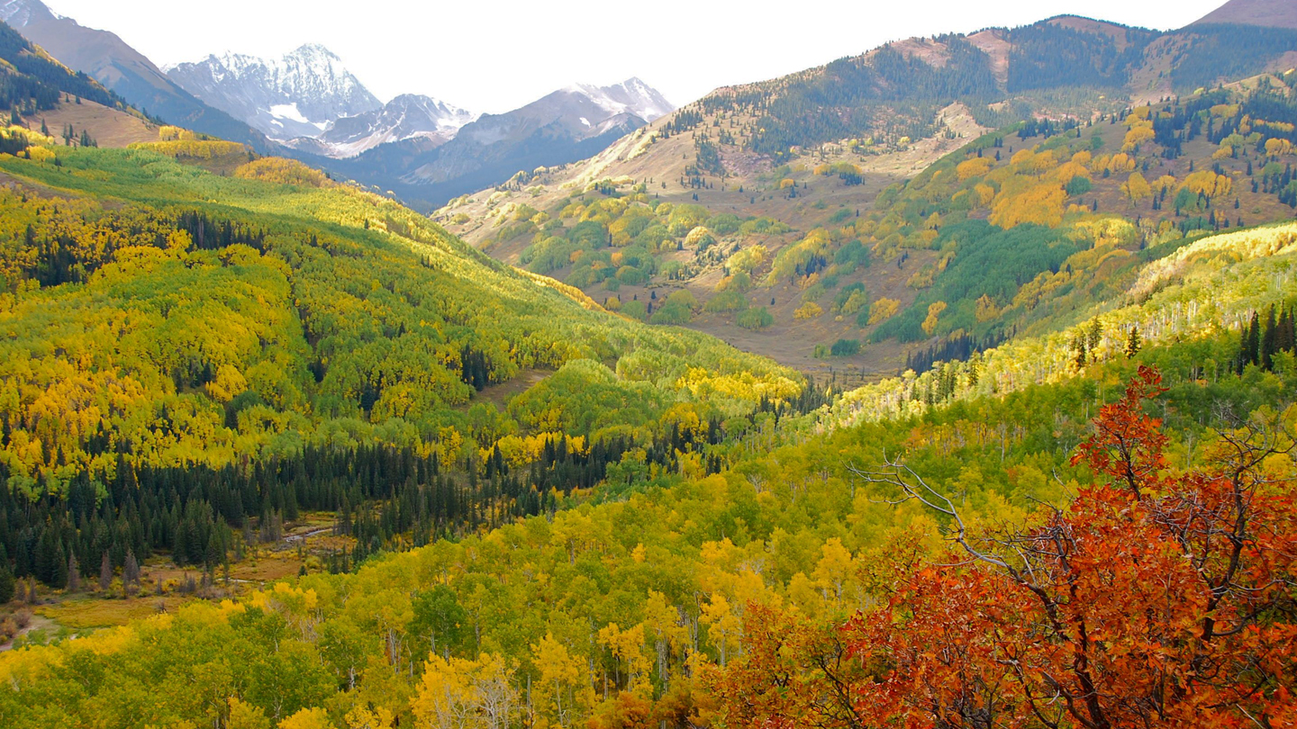 Wildcat Ranch Premier homestead ranch outside Aspen, Colorad